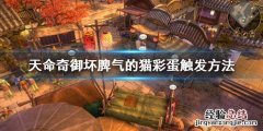 天命奇御帮不帮小猫解毒 天命奇御怎么喂猫