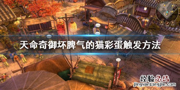 天命奇御帮不帮小猫解毒 天命奇御怎么喂猫