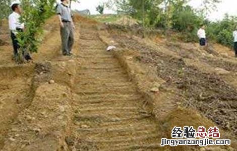 天麻种植技术视频播放 天麻种植技术