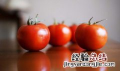 筒骨西红柿粥怎么做