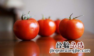 筒骨西红柿粥怎么做