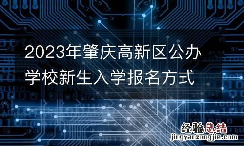 2023年肇庆高新区公办学校新生入学报名方式