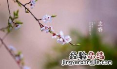 中国人在立春这一天要吃什么食物 立春要吃哪些食物