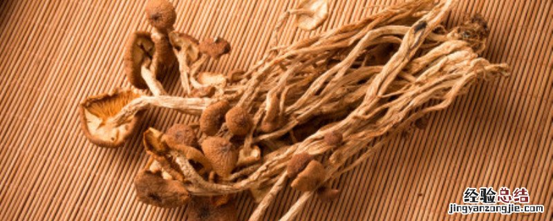 茶树菇什么时候种植 茶树菇种植方法和时间