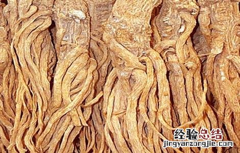 当归如何育苗图片 当归如何育苗