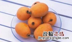 枇杷籽的功效与作用是什么 枇杷籽的功效与作用