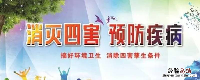 病媒生物防制宣传活动 病媒生物防制宣传标语