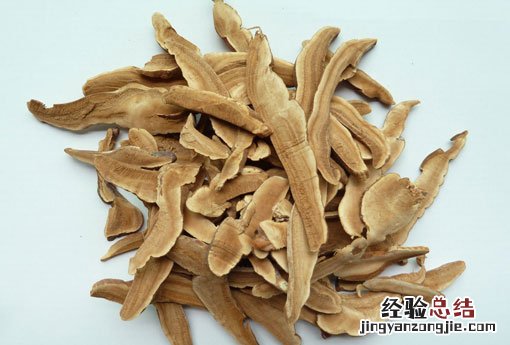 灵芝孢子 灵芝