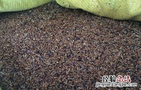 枸杞的播种育苗方法 枸杞种籽育苗方法