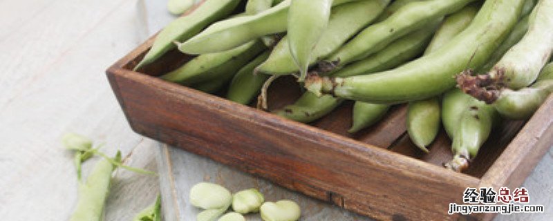 蚕豆种植方法和时间温度 蚕豆种植方法和时间