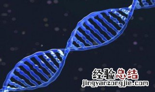 人类基因库中有多少基因 人类基因库中基因数量