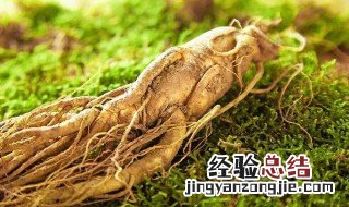 东北三宝是什么 东北三宝是什么东西