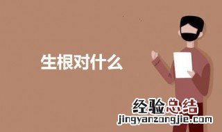 生根对什么 关于生根对什么的介绍