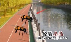 ae分身特效教程 带你了解详细步骤