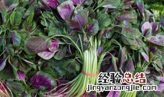 鲫鱼和苋菜能一起吃吗 鲫鱼和苋菜能一起吃