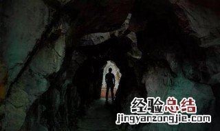 地球脉动洞穴迷宫主要内容 地球脉动之谜