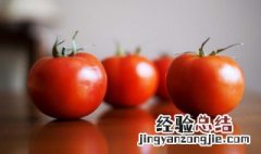 番茄土豆炖牛肉煲怎么做 番茄土豆炖牛肉煲怎么做才好吃