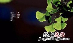 立夏吃鸡蛋的含义 立夏吃鸡蛋的含义简述