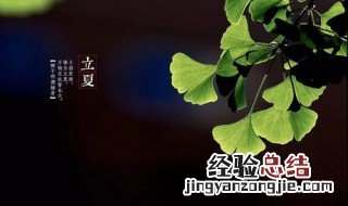 立夏吃鸡蛋的含义 立夏吃鸡蛋的含义简述