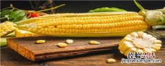玉米发芽可以喂羊吗 玉米发芽了能喂羊吗
