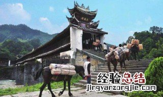 茶马古道带去了什么 茶马古道是干嘛的