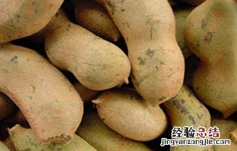 酸角怎样种植 酸角种植的注意事项有哪些
