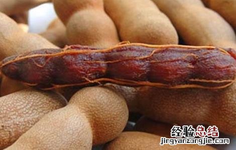 酸角怎样种植 酸角种植的注意事项有哪些