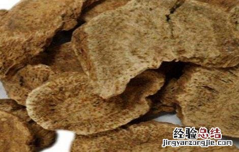 云木香种植需要注意什么问题 云木香种植需要注意什么
