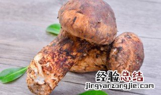新鲜的松茸怎么吃最好 新鲜的松茸食用方法