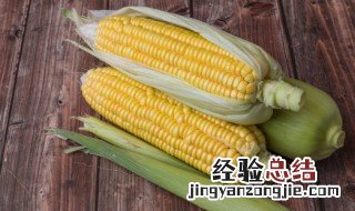 玉米胡萝卜排骨煲怎么做
