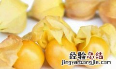 姑娘果热量 姑娘果热量高吗