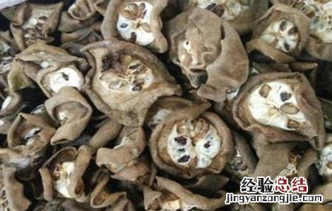 预知子的作用 预知子怎么种