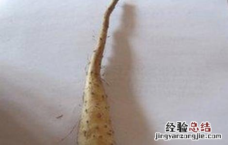 山药的繁殖方法有哪些,各有什么利弊 山药的繁殖方法