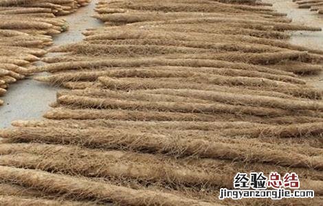 山药的繁殖方法有哪些,各有什么利弊 山药的繁殖方法