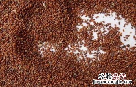 药材种子播种前几种处理方法 药材种子播种前几种处理方法是