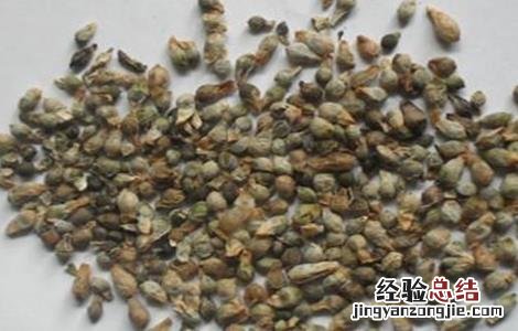 药材种子播种前几种处理方法 药材种子播种前几种处理方法是