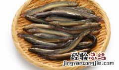 黄鳝的营养价值及禁忌 有关黄鳝的营养禁忌介绍