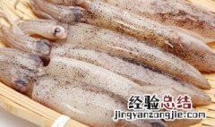 墨鱼的营养价值及禁忌 墨鱼的营养和注意事项介绍