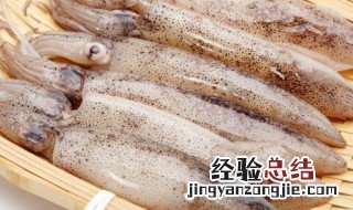 墨鱼的营养价值及禁忌 墨鱼的营养和注意事项介绍
