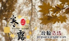 关于寒露的古诗四句二年级 关于寒露的古诗