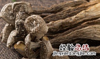 鹿茸菇的功效与作用及食用方法鹿茸食用方法 鹿茸菇的功效与作用及食用方法