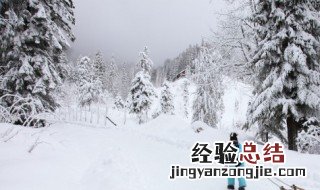 关于冬天的好句大全 关于冬天的好句大全 有哪些