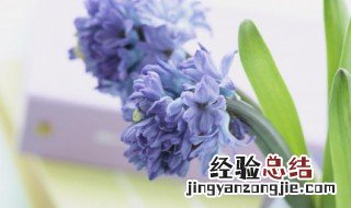 沙雕女孩的可爱文案 这些句子真的调皮又可爱