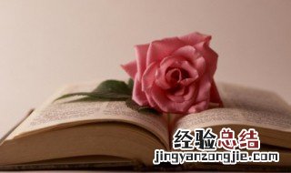 干净文艺短句 这些句子满满文艺风