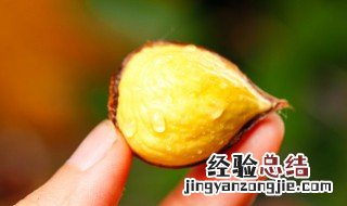 水煮栗子要煮多久才熟 水煮栗子要煮多久