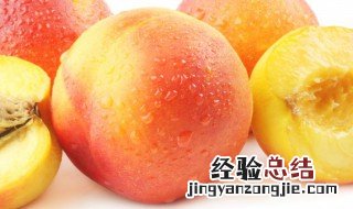 桃能放冰箱冷藏保存吗 毛桃可以放冰箱保存吗