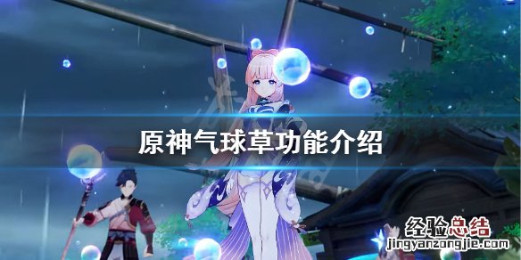 原神气球草有什么用 原神 气球草