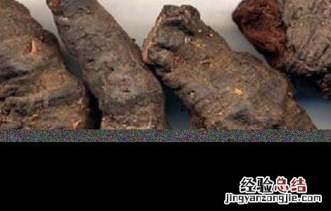 拳参怎么种植 拳参的栽培技术
