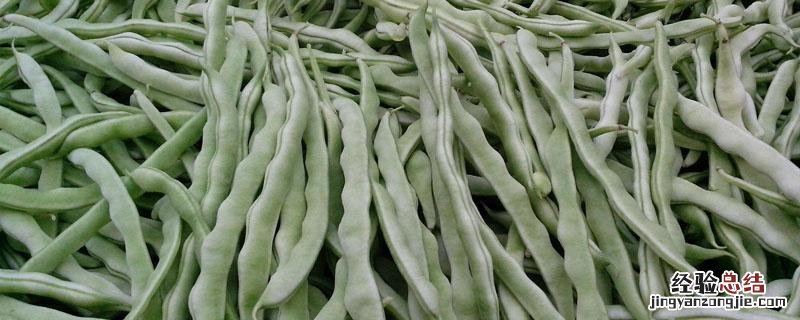 芸豆对温度的要求 芸豆能耐多少度低温