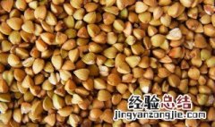 荞麦和大米一起煮饭可以吗 荞麦和什么搭配煮粥好